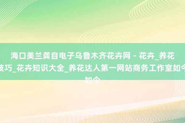 海口美兰龚自电子乌鲁木齐花卉网 - 花卉_养花技巧_花卉知识大全_养花达人第一网站商务工作室如今