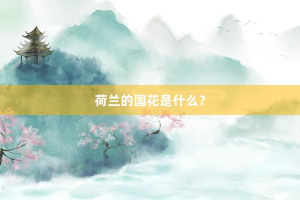 荷兰的国花是什么？